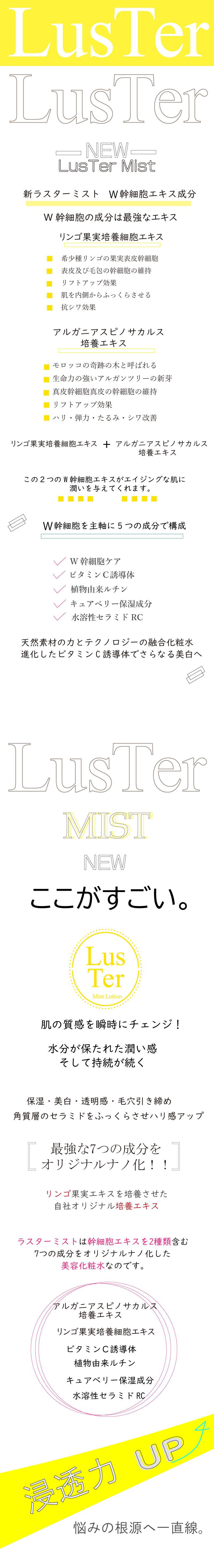 ラスターミストヒストリー