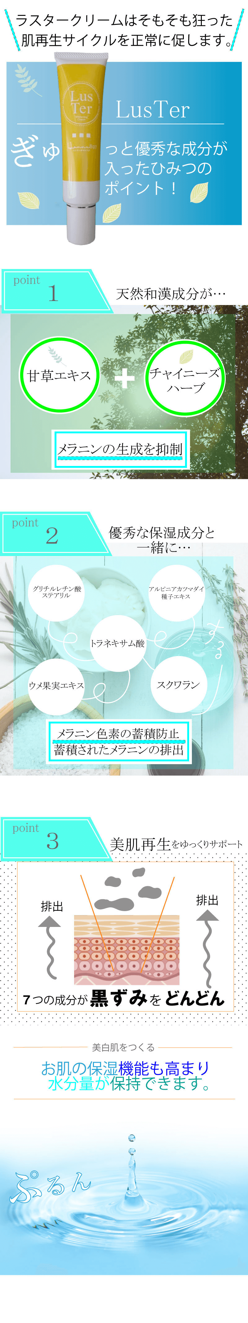 ラスターセット１