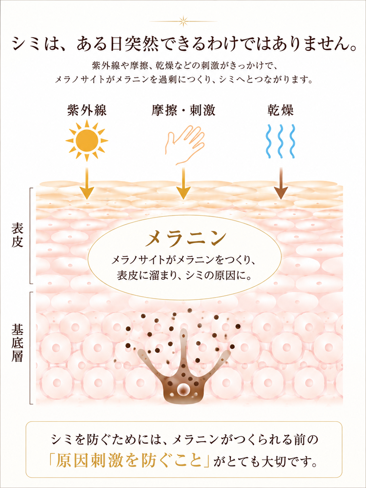 紫外線などの刺激によってメラニンが生成される仕組み