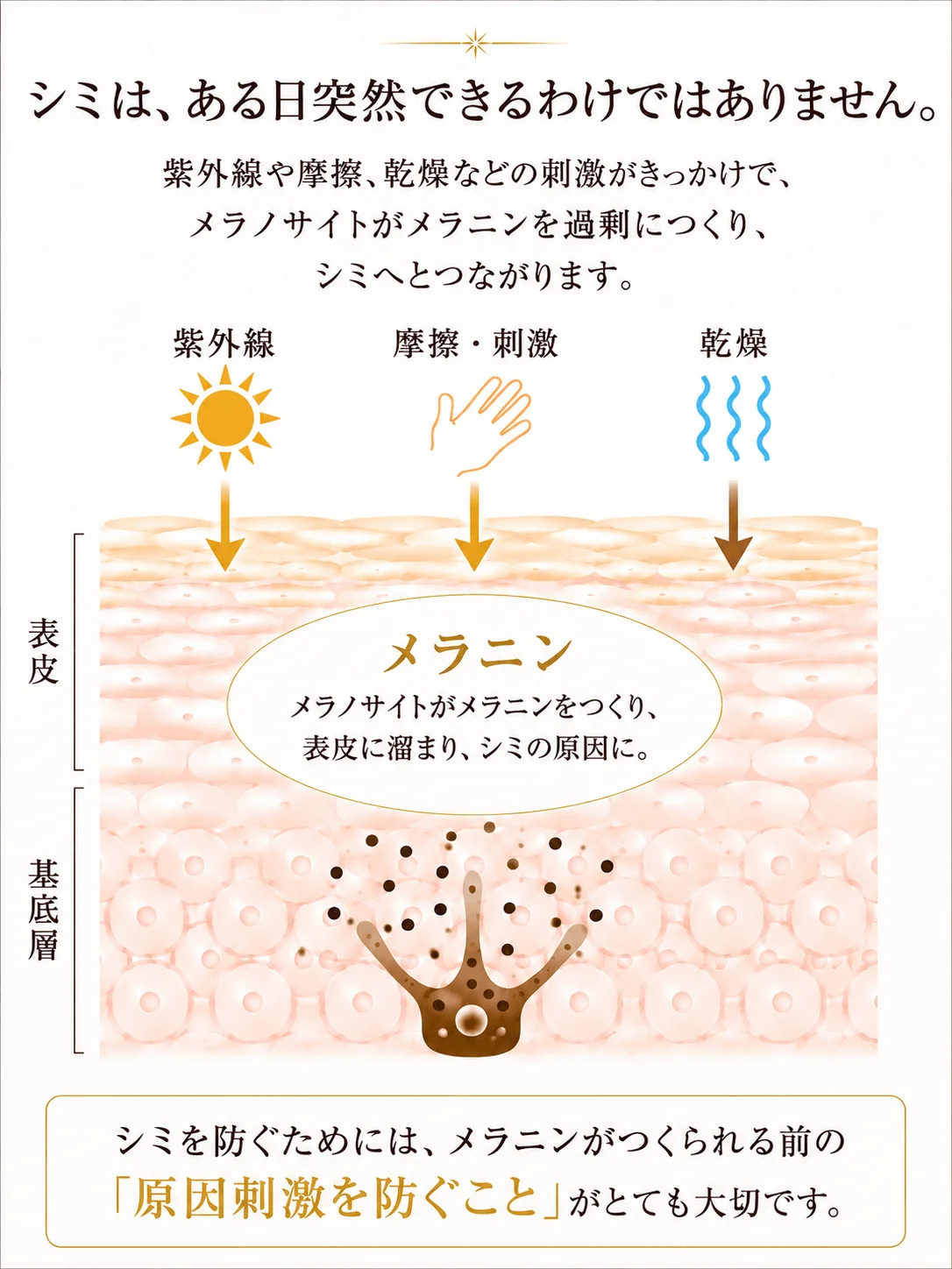 紫外線などの刺激によってメラニンが生成される仕組み