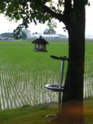 f:id:yoko807:20100619192506j:image