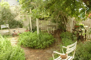 f:id:yoko807:20100805105237j:image f:id:yoko807:20100805105237j:image