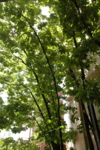 f:id:yoko807:20100813122550j:image