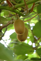 f:id:yoko807:20100915161117j:image f:id:yoko807:20100915161117j:image