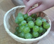 f:id:yoko807:20100929192920j:image