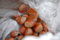 f:id:yoko807:20100930165414j:image