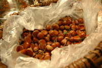 f:id:yoko807:20101003173415j:image