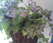f:id:yoko807:20101027141813j:image