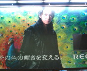 f:id:yoko807:20101111160322j:image