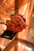f:id:yoko807:20101124142340j:image