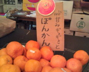 f:id:yoko807:20110208182311j:image