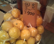 f:id:yoko807:20110208182333j:image