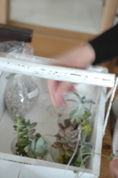 f:id:yoko807:20110421122228j:image f:id:yoko807:20110421122228j:image