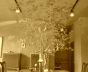 f:id:yoko807:20110731120526j:image
