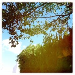 f:id:yoko807:20110915151504j:image