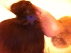 f:id:yoko807:20111004200929j:image