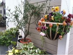f:id:yoko807:20111010175255j:image f:id:yoko807:20111010175255j:image