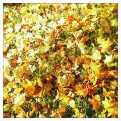 f:id:yoko807:20111016144452j:image