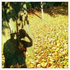 f:id:yoko807:20111016144504j:image