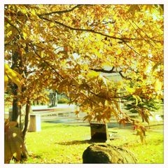 f:id:yoko807:20111016144522j:image