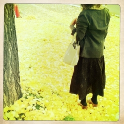 f:id:yoko807:20111024144438j:image f:id:yoko807:20111024144438j:image