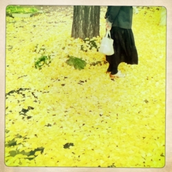 f:id:yoko807:20111024144518j:image f:id:yoko807:20111024144518j:image