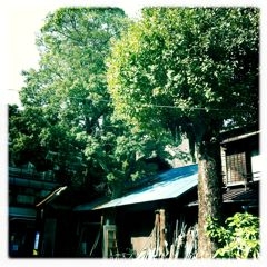 f:id:yoko807:20111102160123j:image