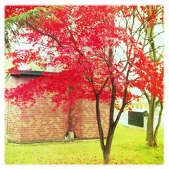 f:id:yoko807:20111109231158j:image