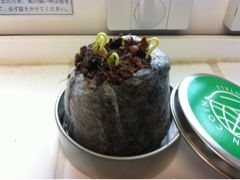 f:id:yoko807:20111110085828j:image