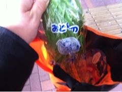 f:id:yoko807:20111115130811j:image
