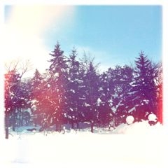 f:id:yoko807:20111118112641j:image