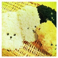 f:id:yoko807:20111119172540j:image