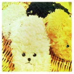 f:id:yoko807:20111119172549j:image