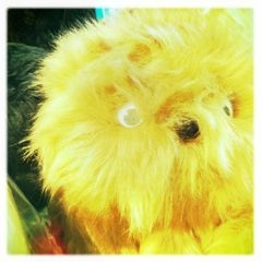 f:id:yoko807:20111204151400j:image