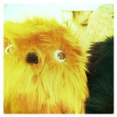 f:id:yoko807:20111204181216j:image