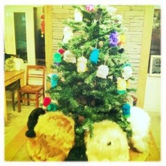 f:id:yoko807:20111206182106j:image f:id:yoko807:20111206182106j:image