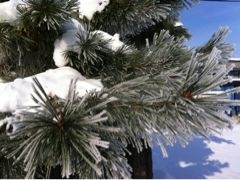 f:id:yoko807:20111222121126j:image