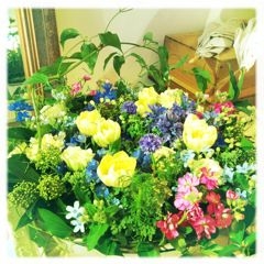 f:id:yoko807:20120209160533j:image f:id:yoko807:20120209160533j:image