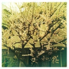 f:id:yoko807:20120322152728j:image