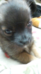 f:id:yoko807:20120526220636j:image