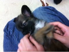 f:id:yoko807:20120528172922j:image f:id:yoko807:20120528172922j:image