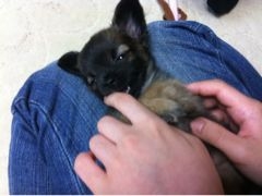 f:id:yoko807:20120528172932j:image f:id:yoko807:20120528172932j:image