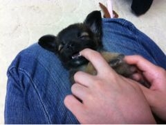 f:id:yoko807:20120528172942j:image f:id:yoko807:20120528172942j:image