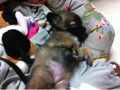 f:id:yoko807:20120528173031j:image f:id:yoko807:20120528173031j:image