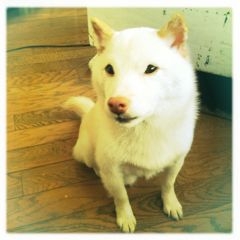 f:id:yoko807:20120615163004j:image f:id:yoko807:20120615163004j:image