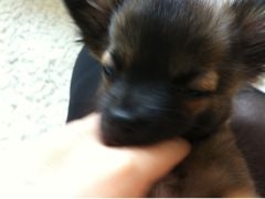 f:id:yoko807:20120630205641j:image f:id:yoko807:20120630205641j:image