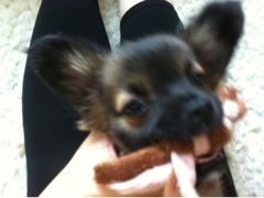 f:id:yoko807:20120630205656j:image f:id:yoko807:20120630205656j:image
