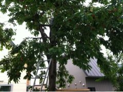 f:id:yoko807:20120705225214j:image f:id:yoko807:20120705225214j:image