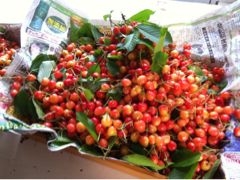 f:id:yoko807:20120705225305j:image f:id:yoko807:20120705225305j:image