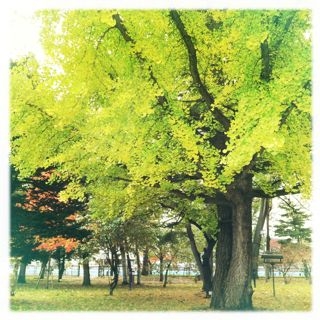 f:id:yoko807:20121105130951j:image
